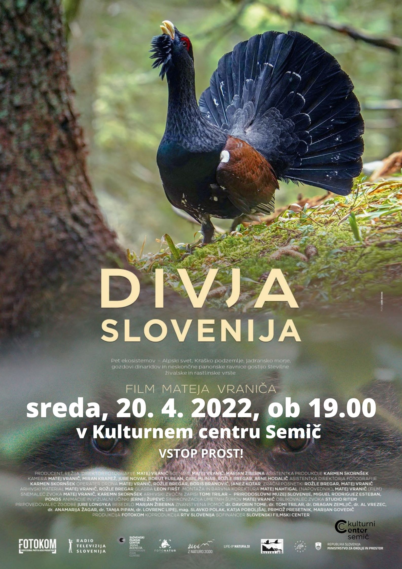 Divja slovenija.jpg